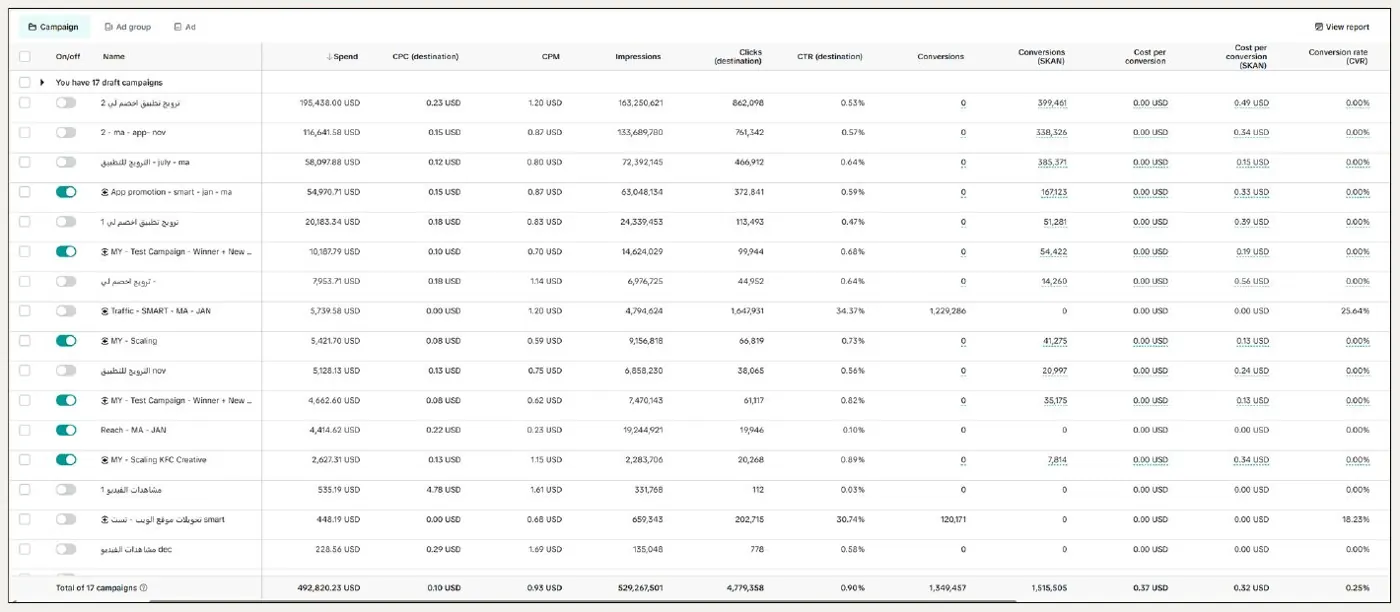 TikTok Ads Manager: 17 campaigns, spend, CPC, CPM and SKAN conversions