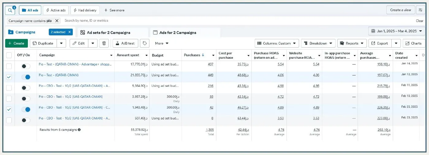 Meta Ads Manager: six campaigns, 1 Jan to 4 Mar 2025