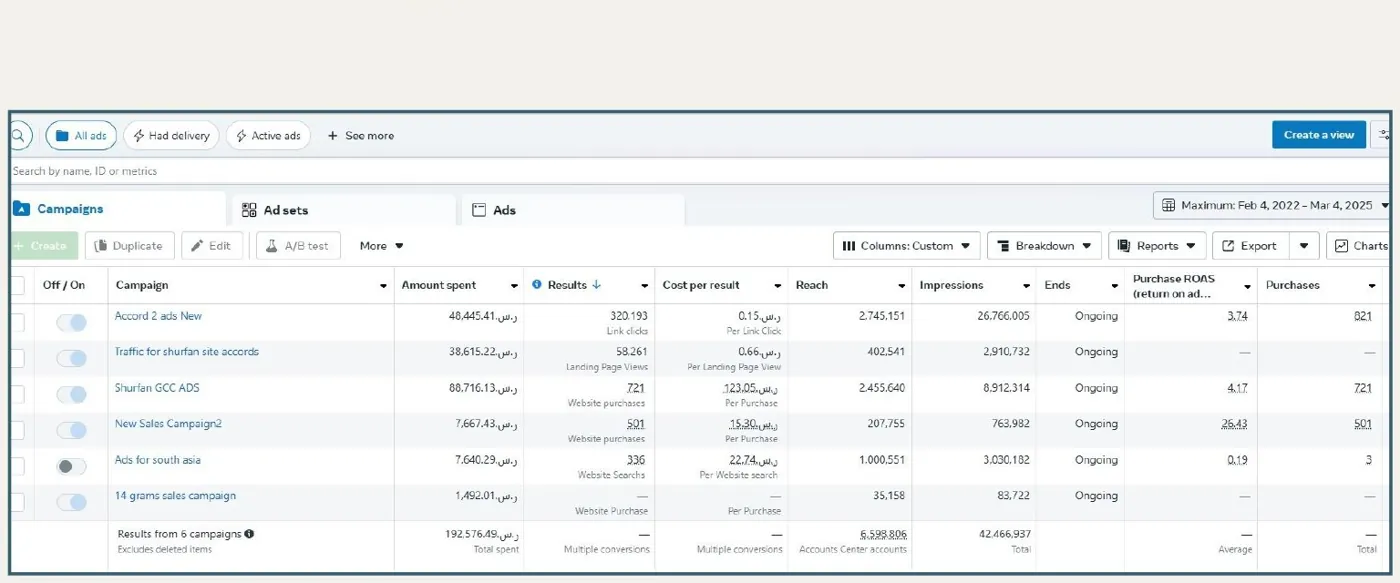 Meta Ads Manager: six campaigns and ROAS
