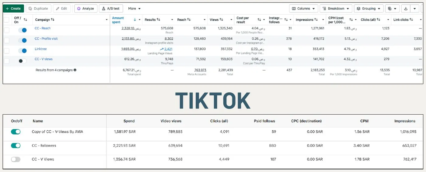 Burgito: Meta and TikTok