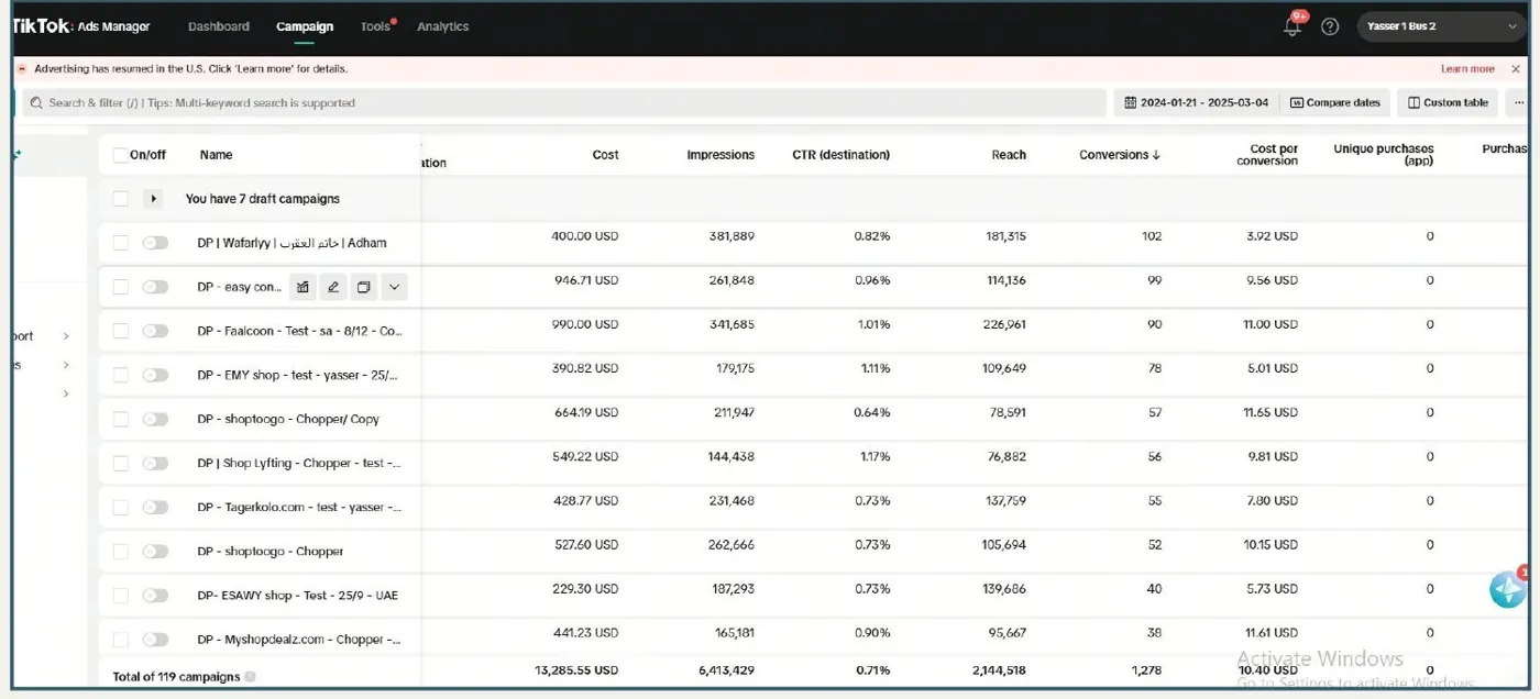 TikTok Ads Manager: 119 campaigns